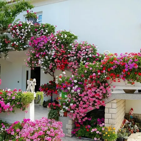 Apartment Rezika Mundanije