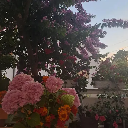 Apartment Rezika Mundanije